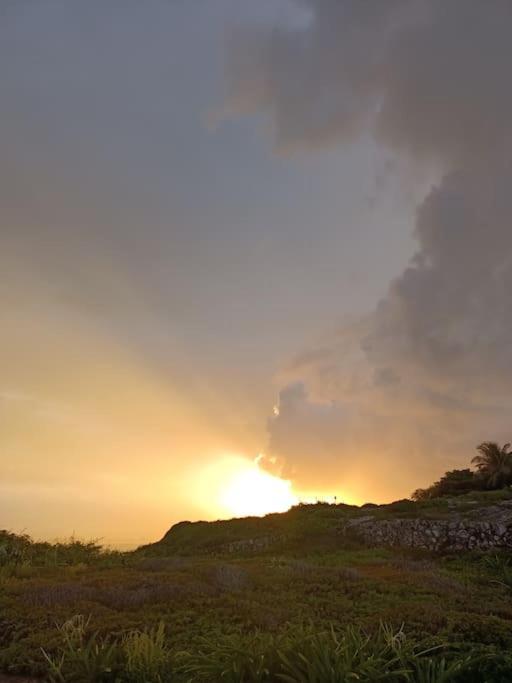 Casa Salina Daire Isla Mujeres Dış mekan fotoğraf